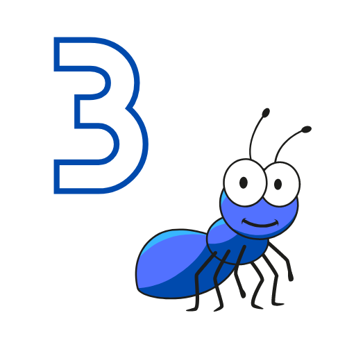 Basic 3 Subscription